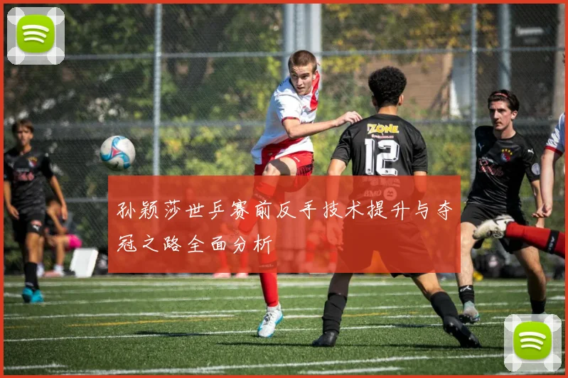 孙颖莎世乒赛前反手技术提升与夺冠之路全面分析